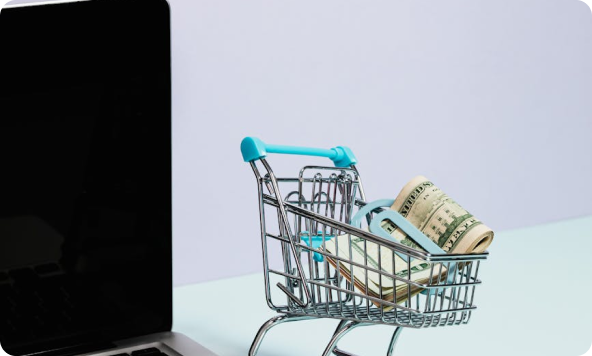 E-commerce Businesses