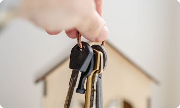 Real Estate & Property